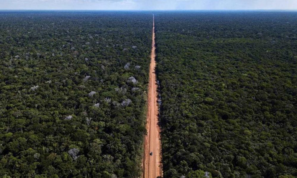  Criadores de Peixes de Rondônia otimistas com restauração da BR-319