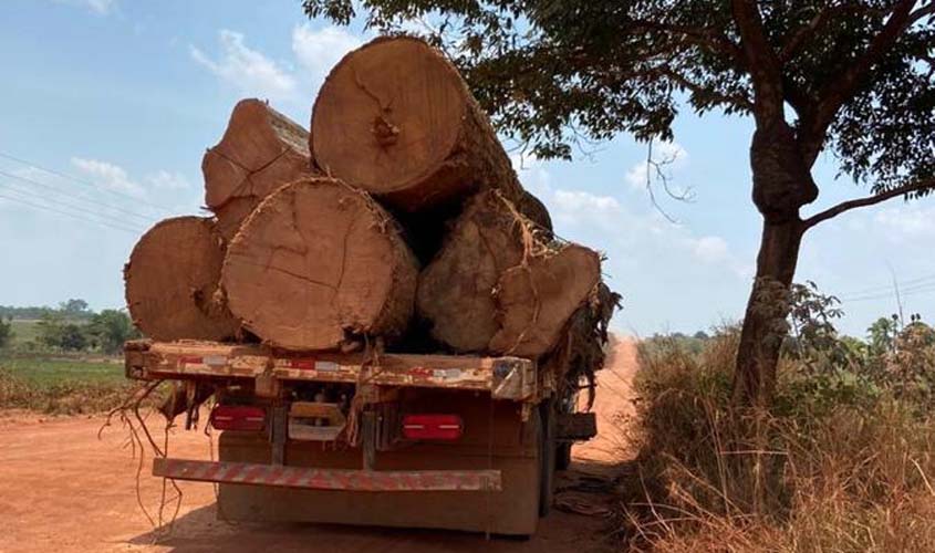  PF RO realiza prisão em flagrante por crimes em terra indígena