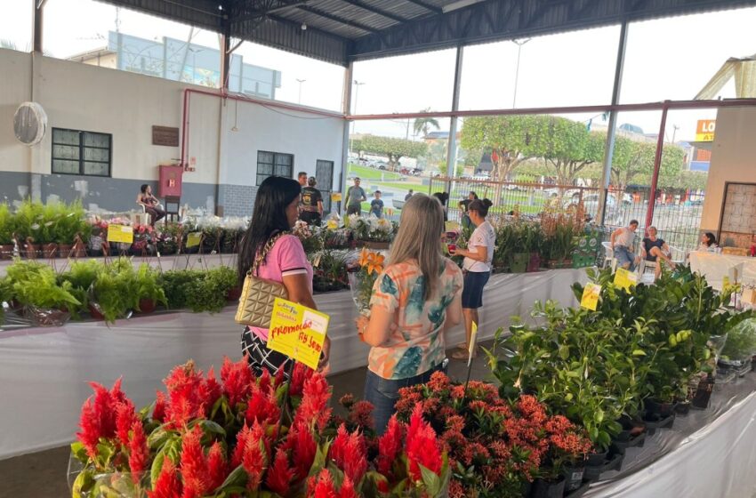  Jaru: Feira de Flores e Plantas da APAE vai ate amanhã, aproveite!