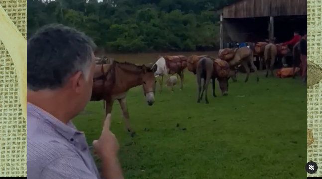  No programa “A Hora do Agro”, conheça a indústria de Jaru, que vem se destacando na produção de Castanha, e também um pequeno “Paraíso” aqui na cidade