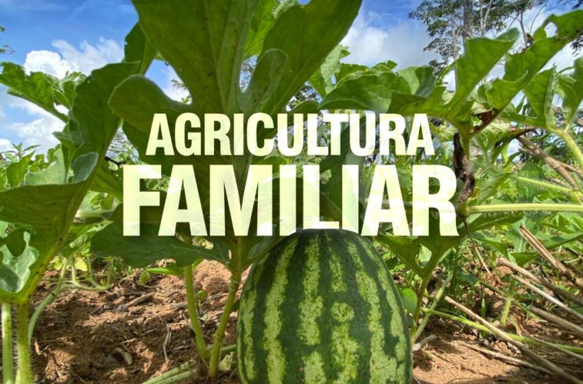  Semagri – Fortalecendo o campo e abastecendo a cidade.