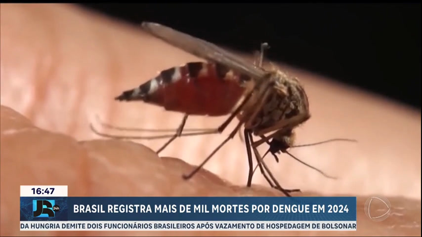 Imunização contra dengue em SP começa na próxima quinta (4)