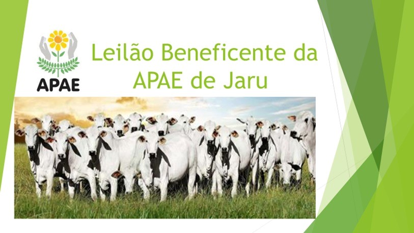  Vem aí o 4º Leilão Virtual da APAE de Jaru