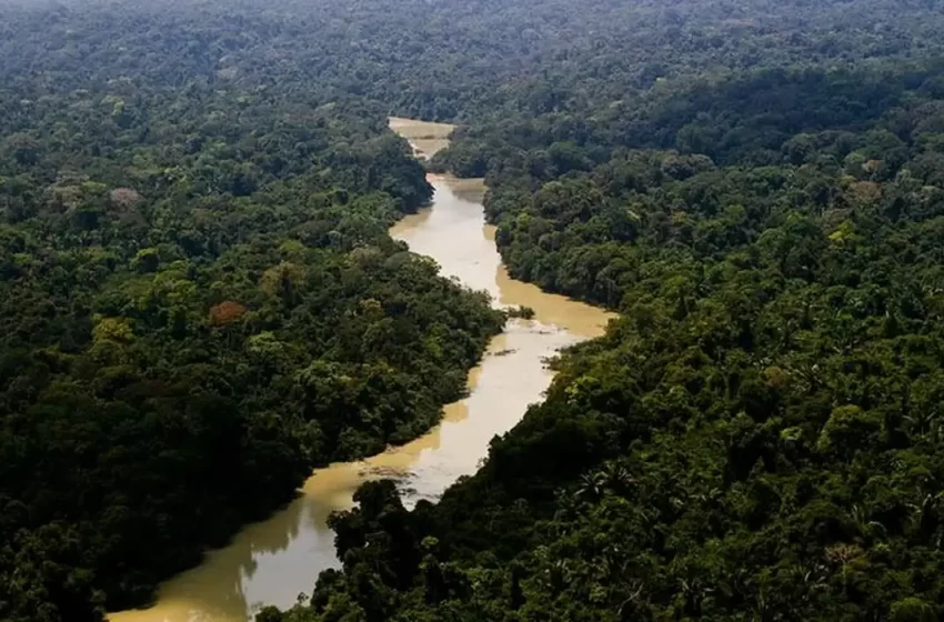  Brasil não trata meio ambiente com seriedade, diz promotor