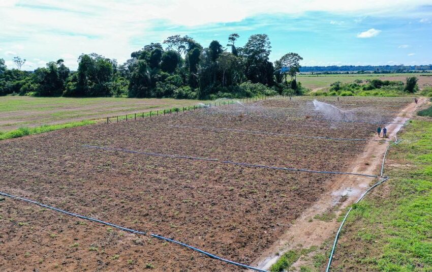  RO é Agro: equipamentos e recuperação de estradas estimulam agricultura no estado