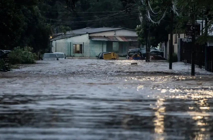  Rio Grande do Sul investiga mais de 800 casos de leptospirose