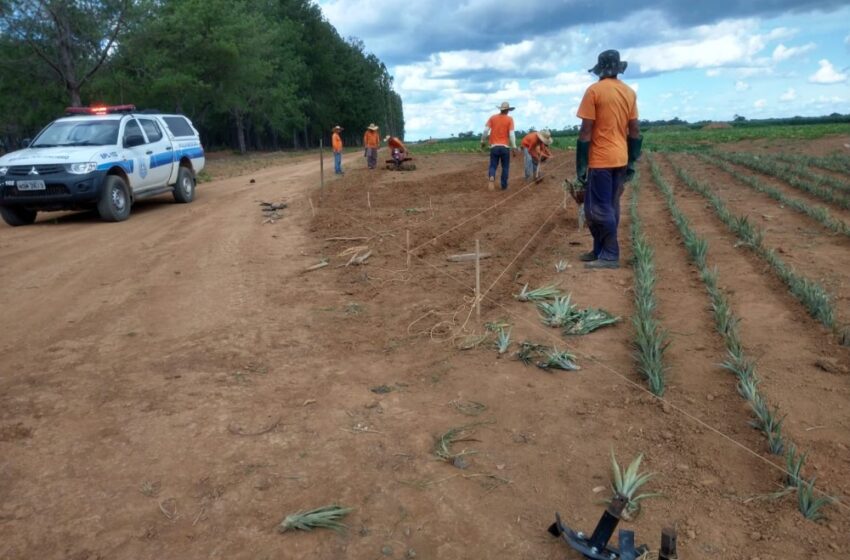  Rondônia atinge primeiro lugar nacional em percentual de reeducandos trabalhando