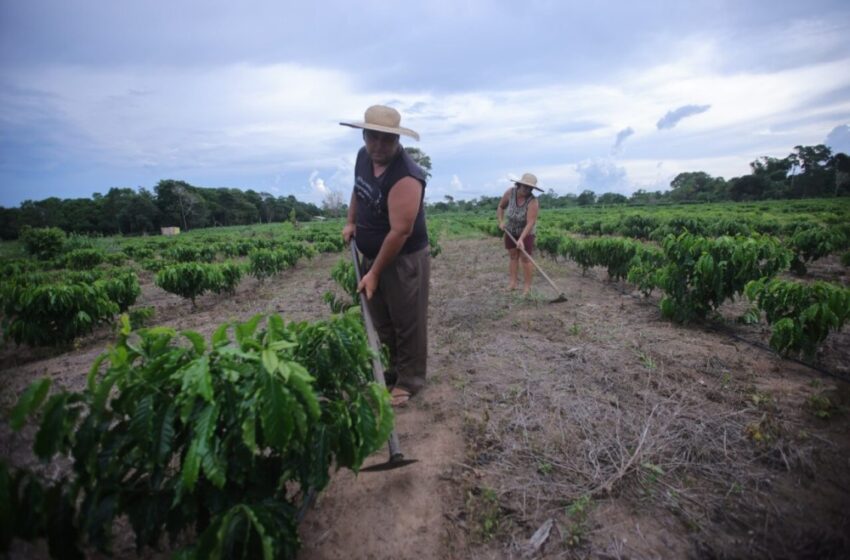  Programa nacional de crédito fundiário garante R$ 4,8 milhões de investimentos na agricultura familiar