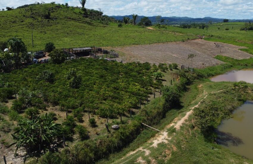  Projeto que prevê R$ 7 milhões para regularização fundiária é aprovado pela Alero