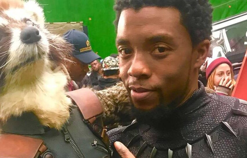  James Gunn relembra Chadwick Boseman no aniversário da morte do ator