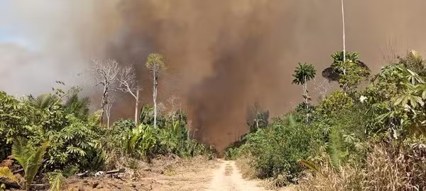  Governo de Rondônia decreta emergência por causa de incêndios florestais