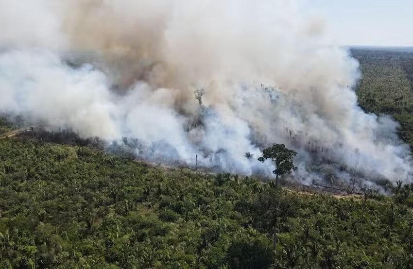  Em 15 dias, setembro tem 3 vezes mais focos de queimadas do que os 6 primeiros meses de 2024 em Rondônia