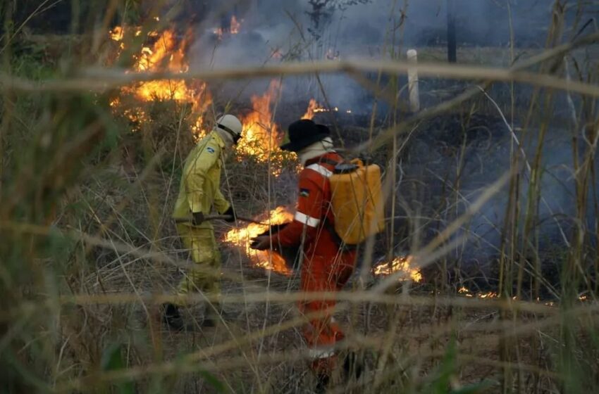  Justiça Federal dá prazo de 72 horas para União se manifestar sobre combate a incêndios florestais em Rondônia