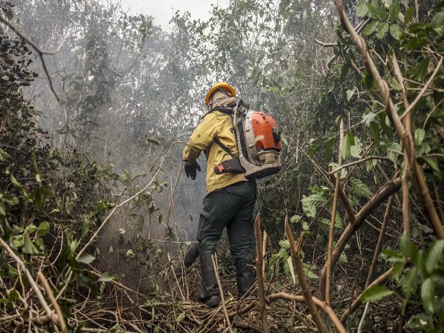  Ibama multa fazendeiros em R$ 100 milhões por incêndio no Pantanal