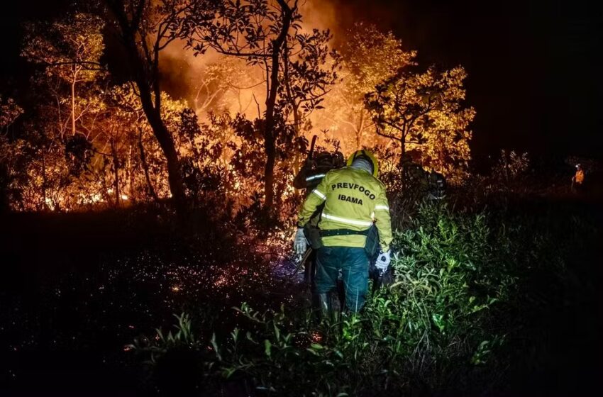  Polícia Ambiental prendeu 42 pessoas por queimadas e aplicou mais de R$ 262 milhões em multas em RO