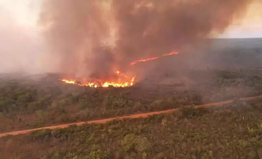  Rondônia teve mais de 4.500 focos de incêndio em agosto desse ano; aumento foi de 163% comparado a 2023