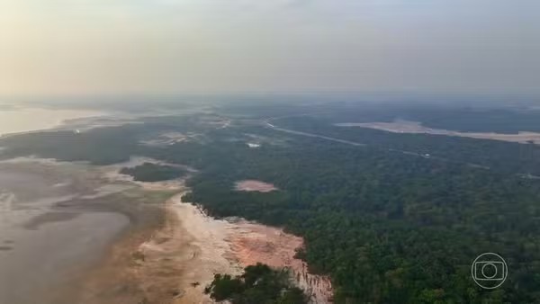  Empresas e pessoas são denunciadas por degradar floresta nativa e extrair areia do leito do rio ilegalmente em Machadinho