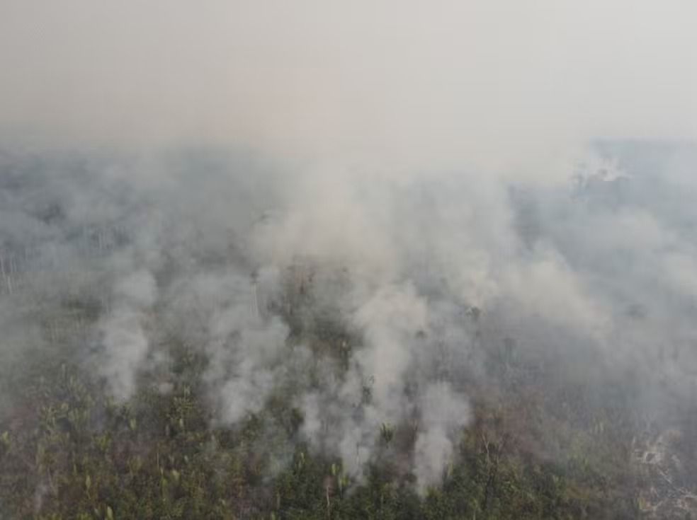 Unidades de conservação extintas por incêndios criminosos foram alvo de normas de redução e extinção