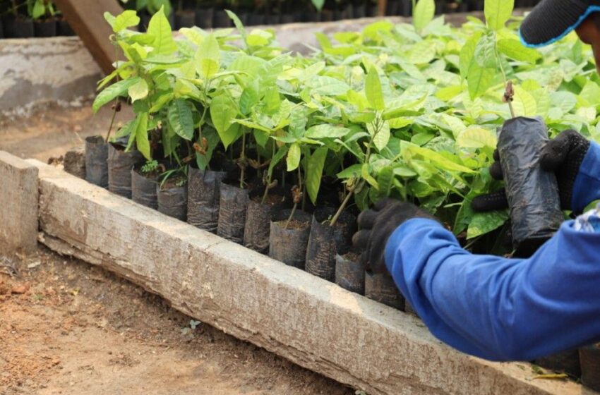  Pela segunda vez consecutiva, Rondônia atinge o topo Nacional em número de internos em atividades laborais