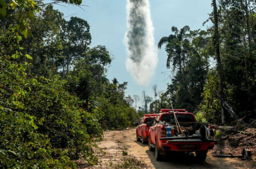  Deputados aprovam R$ 13,8 milhões para combate a incêndios em Rondônia