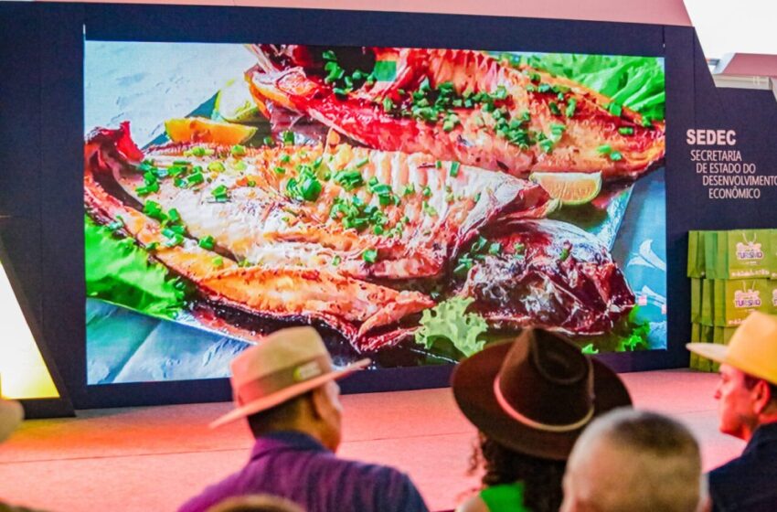  Destaque na segurança alimentar no mercado global, Rondônia registra histórico de exportações