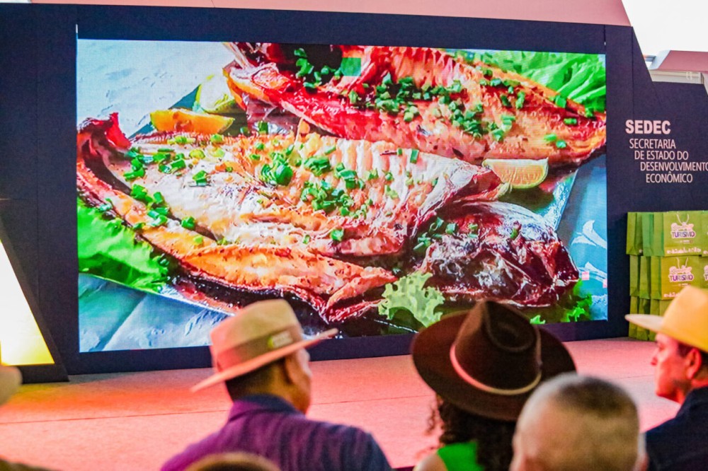 Destaque na segurança alimentar no mercado global, Rondônia registra histórico de exportações