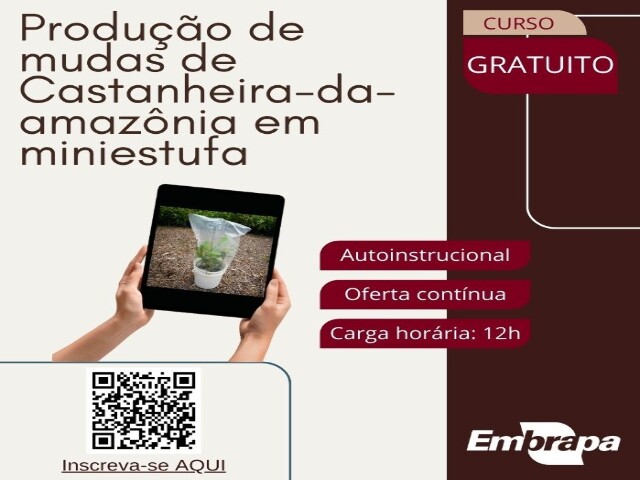  Curso on-line para produção de castanheira-da-amazônia em miniestufa tem inscrições abertas