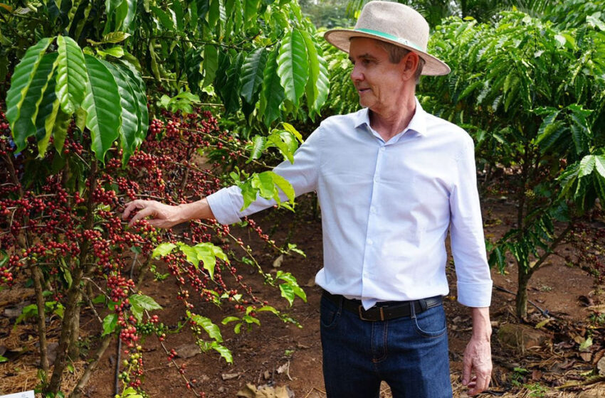  JAIME BAGATTOLI: Comissão de Agricultura aprova relatório do senador que oficializa o Pronaf e o Plano Safra da Agricultura Familiar