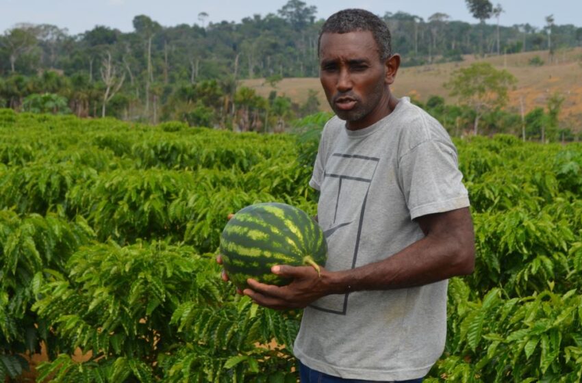  Recursos destinados por Ezequiel Neiva impulsionam a agricultura familiar de Machadinho do Oeste