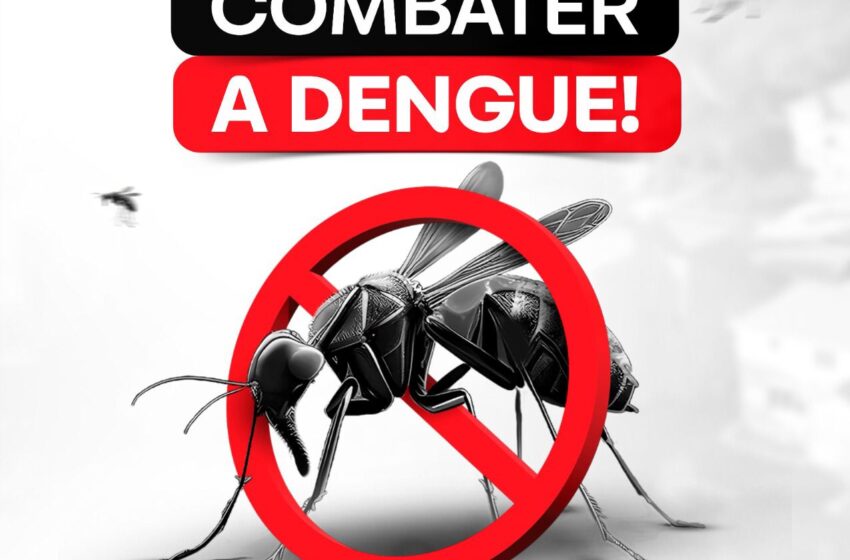  A prevenção é a Melhor Forma de COMBATER A DENGUE