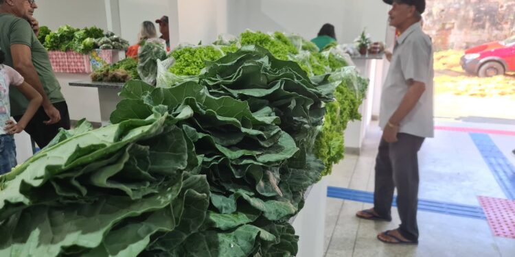 Prefeitura de Jaru abre Chamada Pública para aquisição de produtos da Agricultura Familiar destinados à merenda escolar
