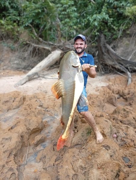 Jaru: Pescador fisga pirarara de 1,40 metro que pode ser a maior já pescada no rio Jaru