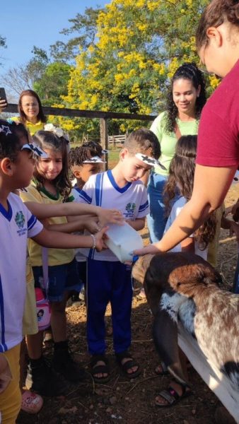 Jaru: Alunos da Escola Gabriel Balmant Neves participa de aula prática sobre ordem de férias durante o projeto “Muuuu!