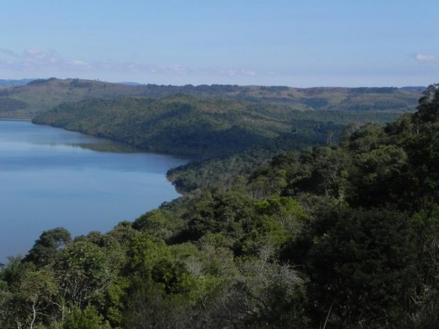  SC reduz em 46% desmatamento da Mata Atlântica em cinco meses, aponta relatório