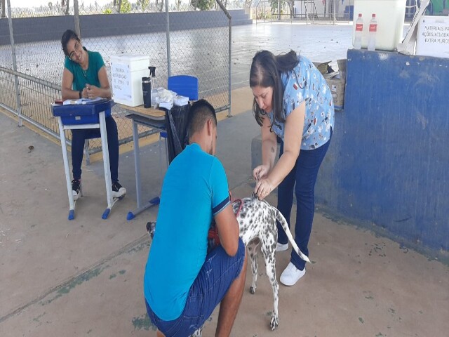  Mais de 300 animais foram imunizados durante vacinação itinerante em Jaci-Paraná