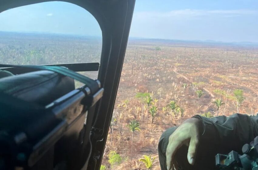  Durante sobrevoo, PF encontra pontos de desmatamento e queimada na Terra Indígena Zoró em RO