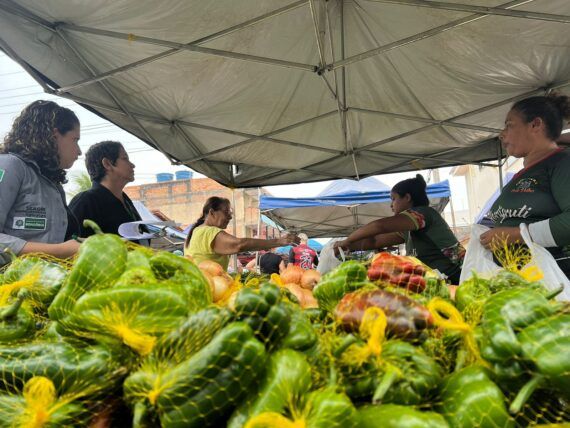  Pesquisa de preços garante valor justo para os agricultores familiares do Programa de Aquisição de Alimentos em Rondônia