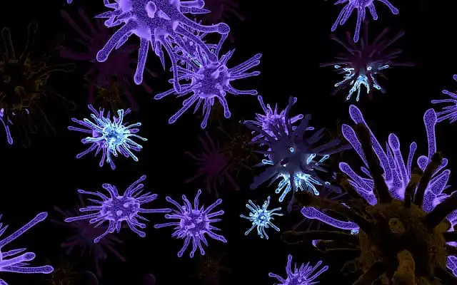 Propagação e pontos de atenção sobre o vírus chikungunya