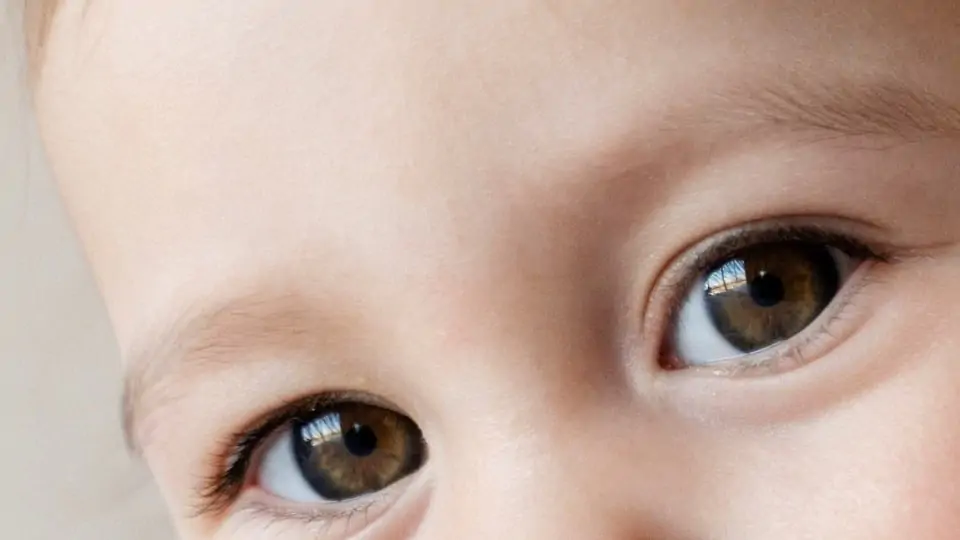 Inteligência artificial e retinopatia da prematuridade: o que sabemos?