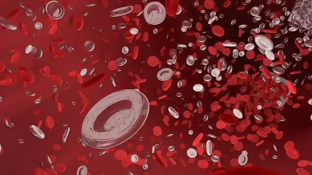 Quais são as novidades na abordagem da trombose venosa cerebral?