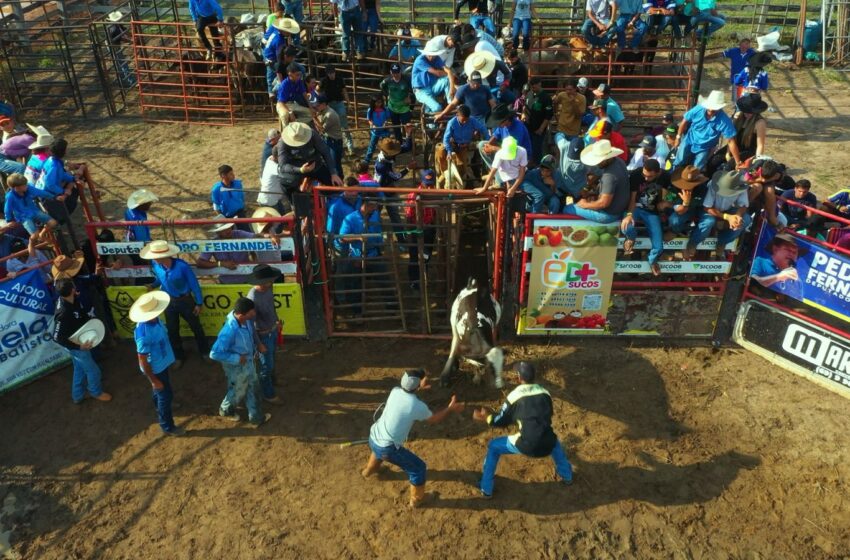  Lei de Pedro Fernandes que reconhece a “Pega do Bezerro” como tradição cultural é sancionada