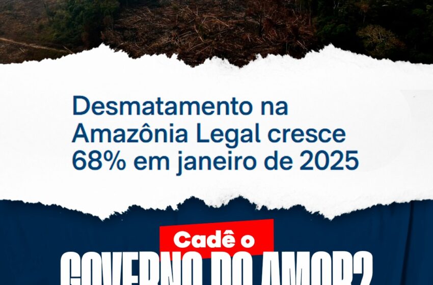  Senador Marcos Rogerio Questiona ” O Governo do Amor ” Sobre o desmatamento