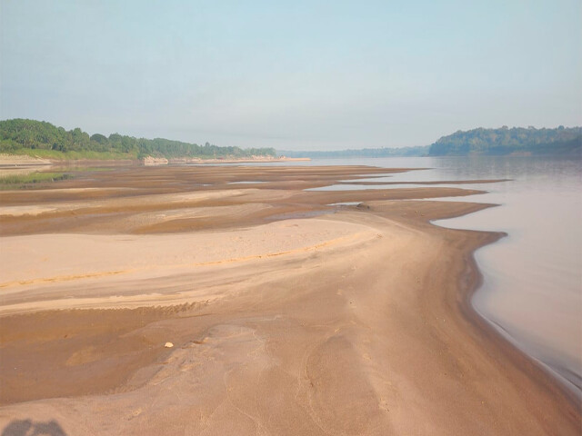 Rios da Amazônia Estão BEM Acima dos Nívores Registrados na Seca de 2024; Madeira Está com 3 metrôs a mais do Registrado Há Um Ano