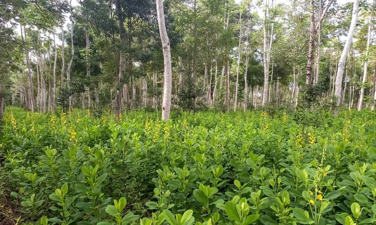 Após diligências do MPF, estado de Rondônia instaura processo para regularizar área estimada em R$ 79,6 milhões