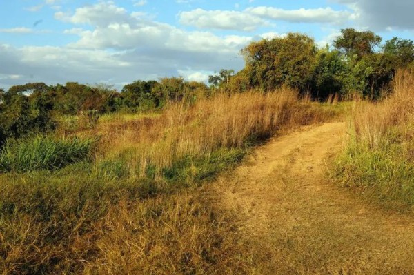 Justiça Federal confirmou como fazenda pública de 952 hectares avaliada em R$ 22 milhões em Buritis
