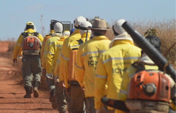 ICMBio abre processo seletivo para brigadistas ambientais em Rondônia