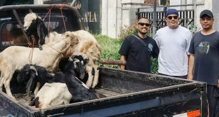 Rayakan Hari Raya Idul Adha, Skuad Bali United Sembelih 4 Ekor Kambing