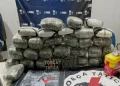 BPChoque apreende drogas escondida em carreta de soja na BR-364