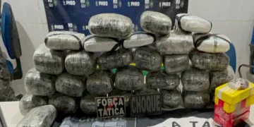 BPChoque apreende drogas escondida em carreta de soja na BR-364