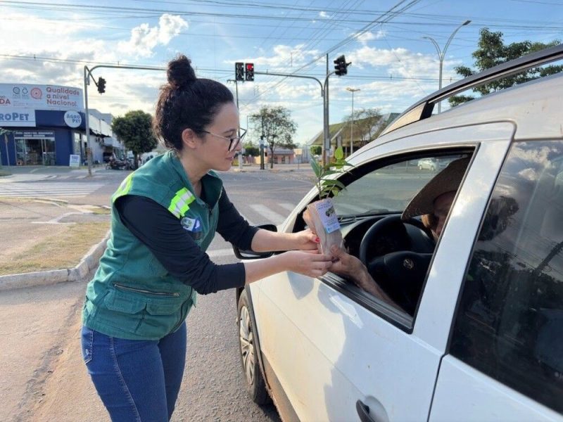 Semana do Meio Ambiente: Prefeitura de Jaru distribui mais de 200 mudas de árvores adequadas para planejamento urbano